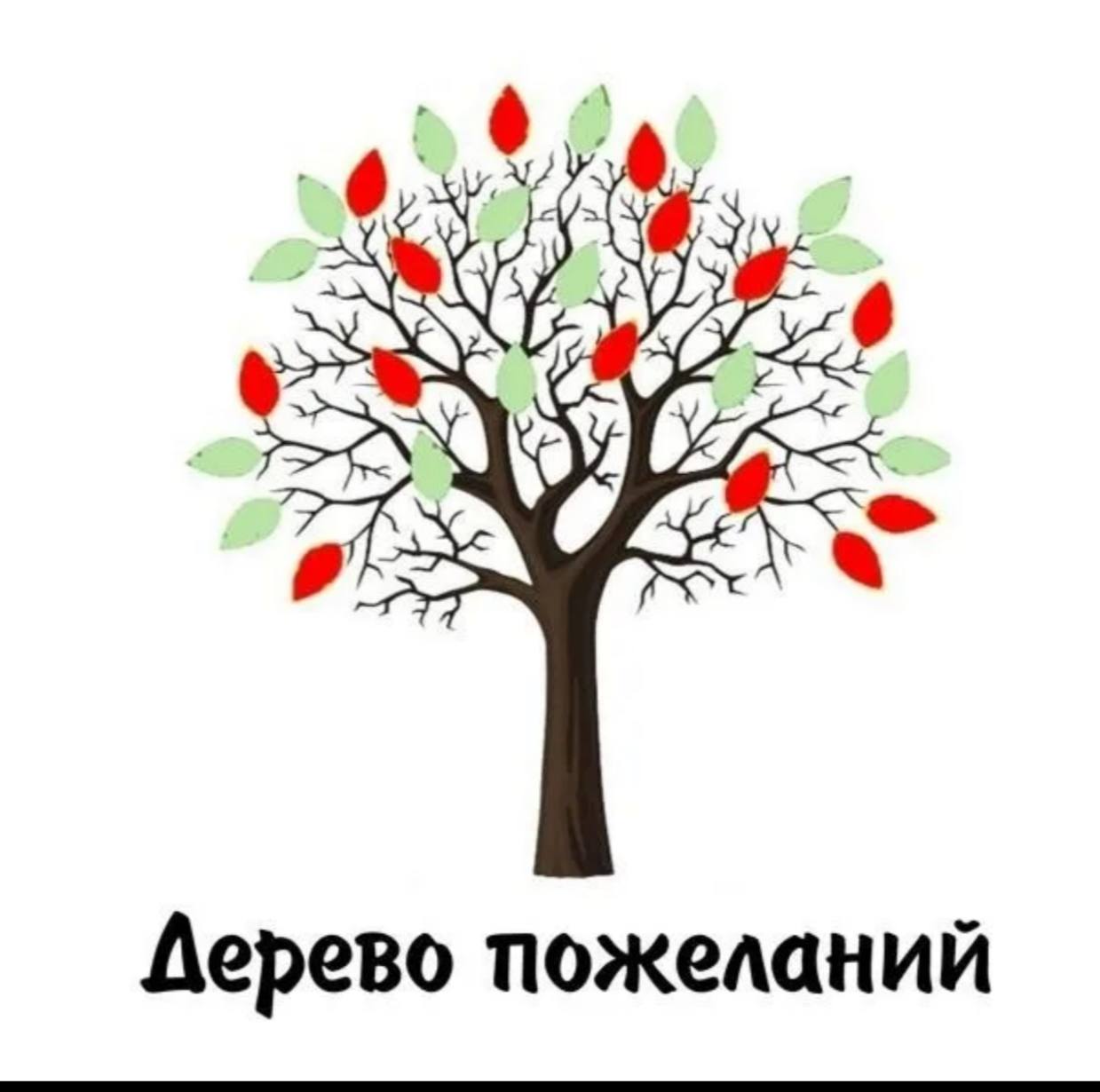 В преддверии праздника «Дня учителя» Советник директора по воспитанию Орцханова Э.М. вместе с обучающимися нашей школы создала «Дерево пожеланий»..